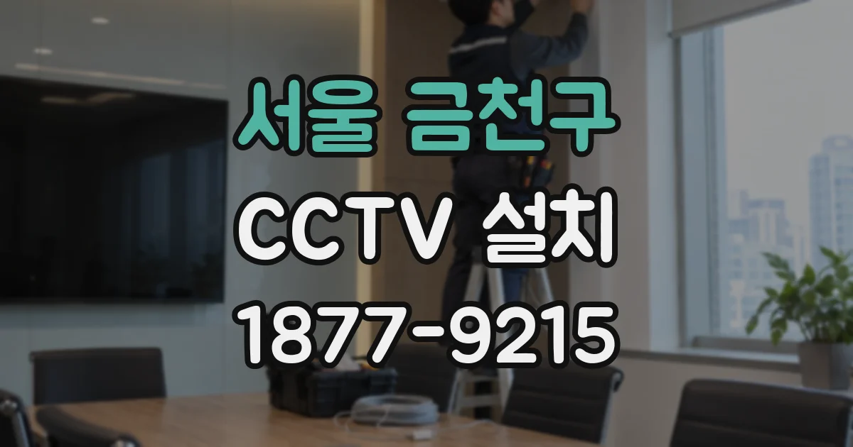 서울 금천구 CCTV 설치