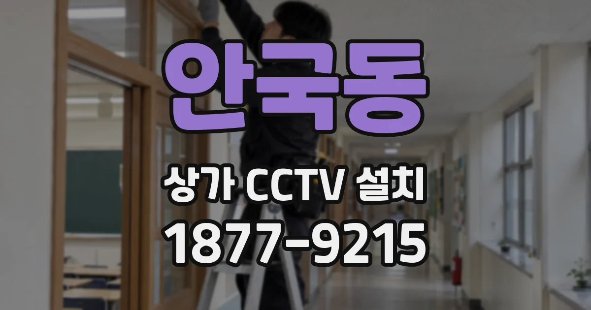 안국동 상가 CCTV 설치