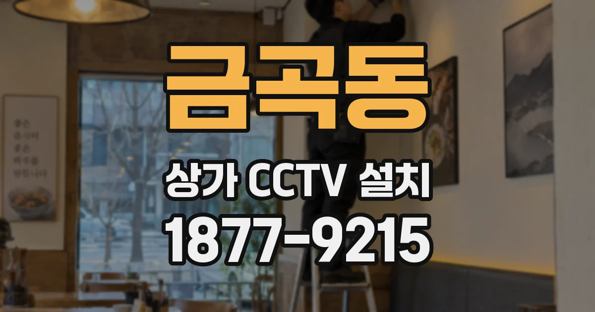 금곡동 상가 CCTV 설치