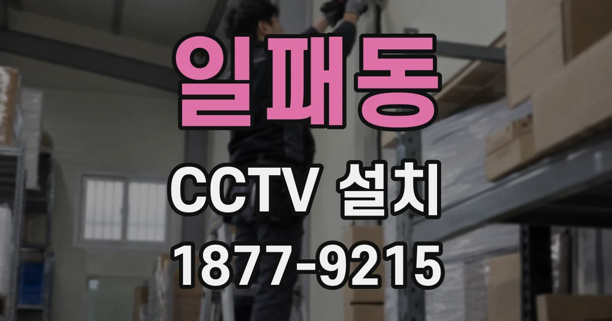 일패동 CCTV 설치