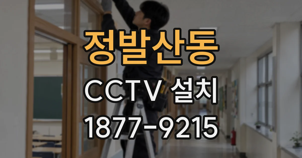 정발산동 CCTV 설치