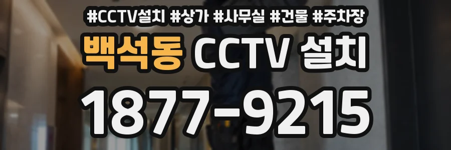 백석동 CCTV 설치