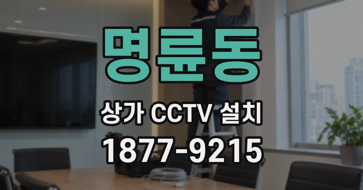 명륜동 상가 CCTV 설치