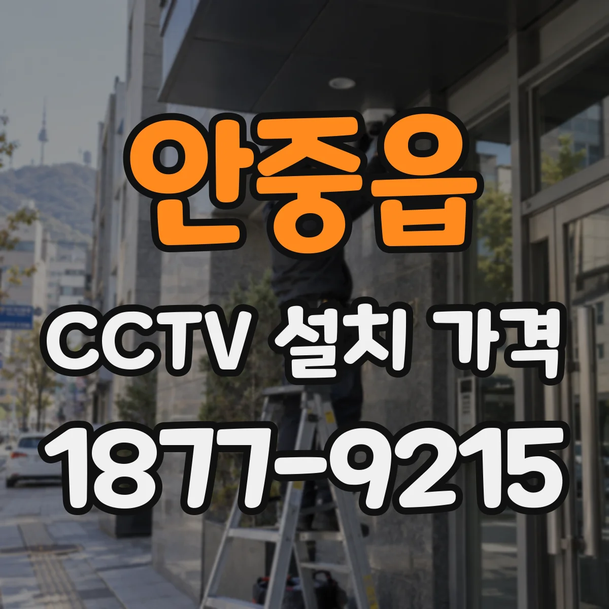 안중읍 CCTV 설치 가격