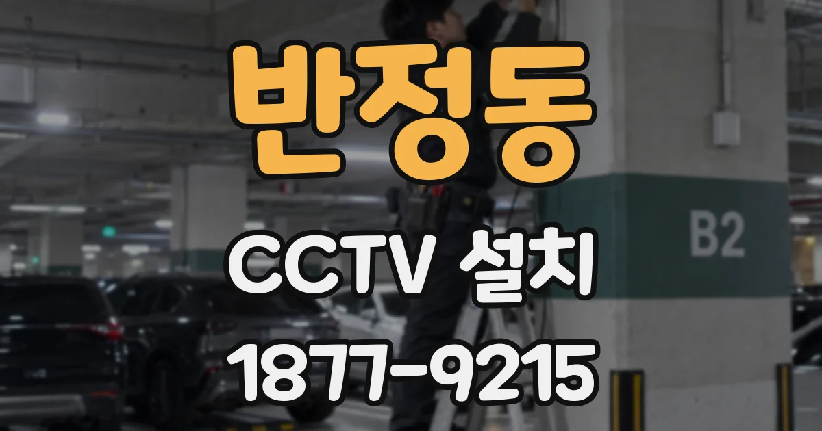 반정동 CCTV 설치