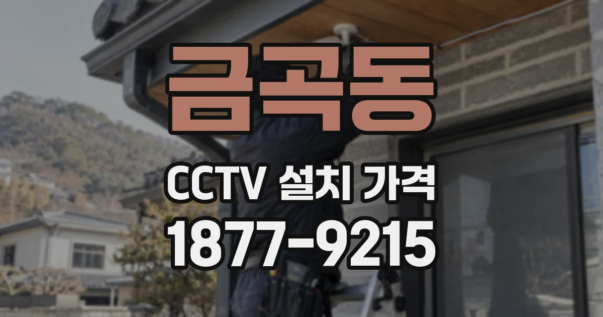 금곡동 CCTV 설치 가격