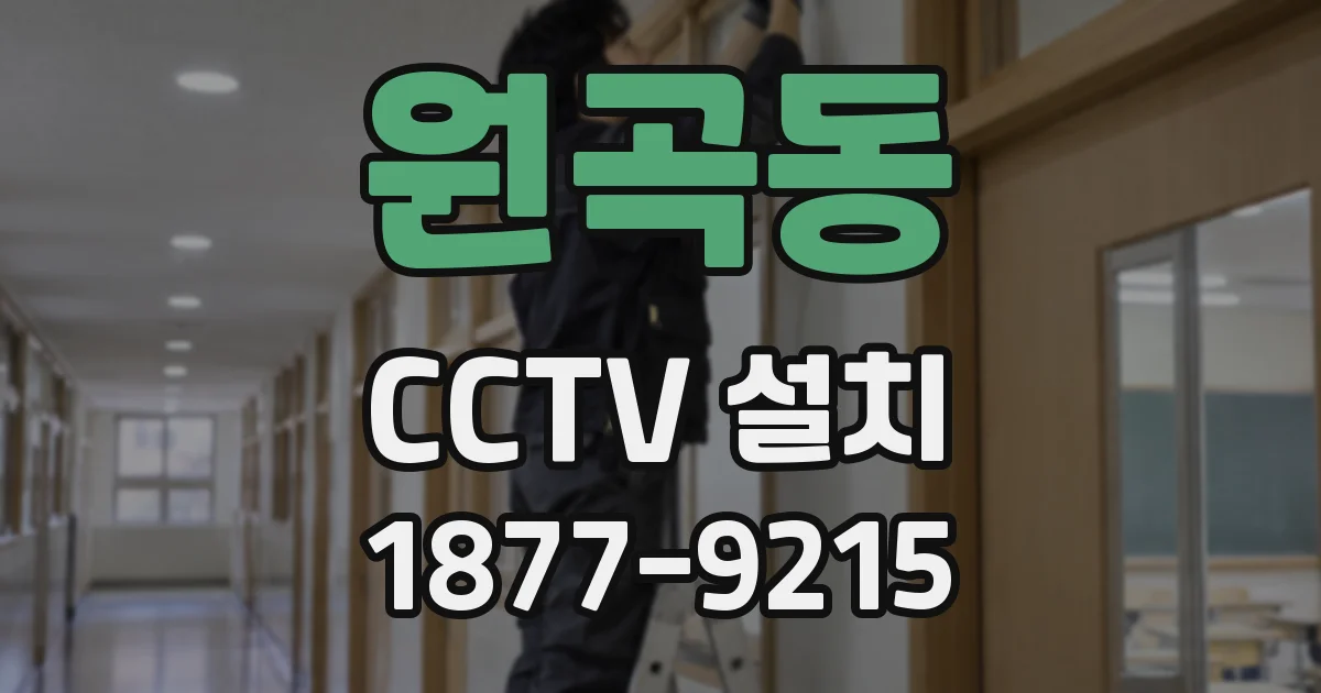 원곡동 CCTV 설치