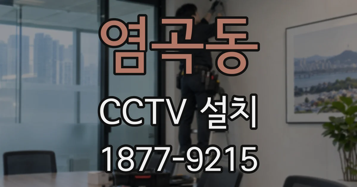 염곡동 CCTV 설치
