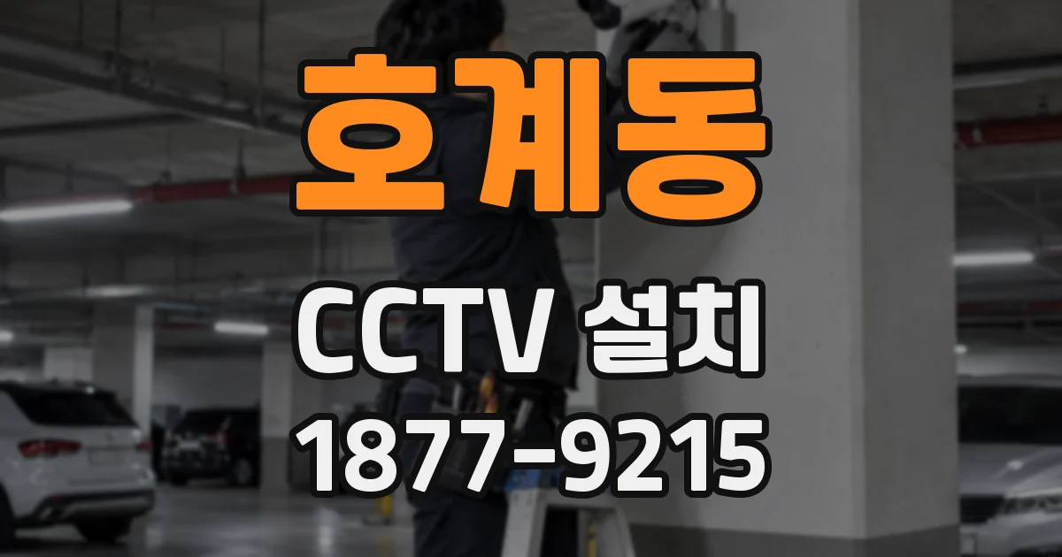 호계동 CCTV 설치