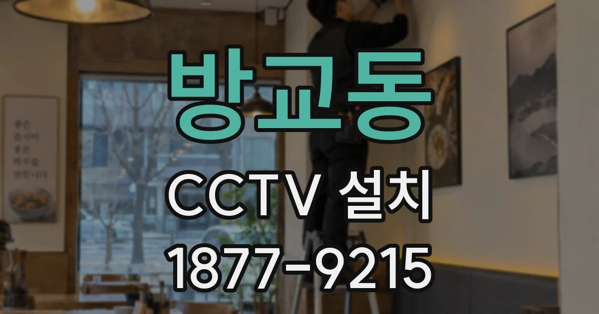 방교동 CCTV 설치