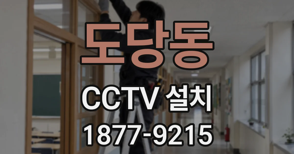 도당동 CCTV 설치