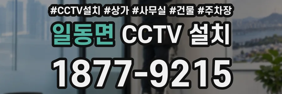 일동면 CCTV 설치