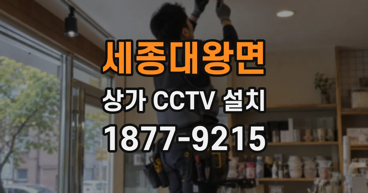 세종대왕면 상가 CCTV 설치
