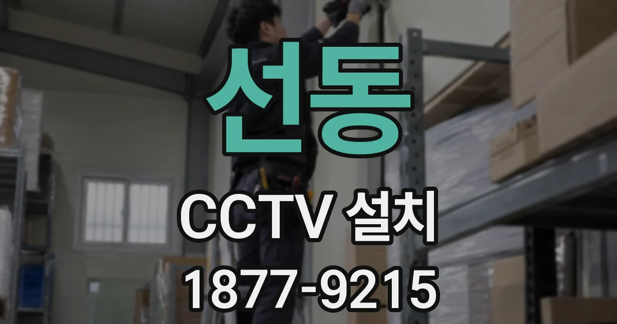 선동 CCTV 설치