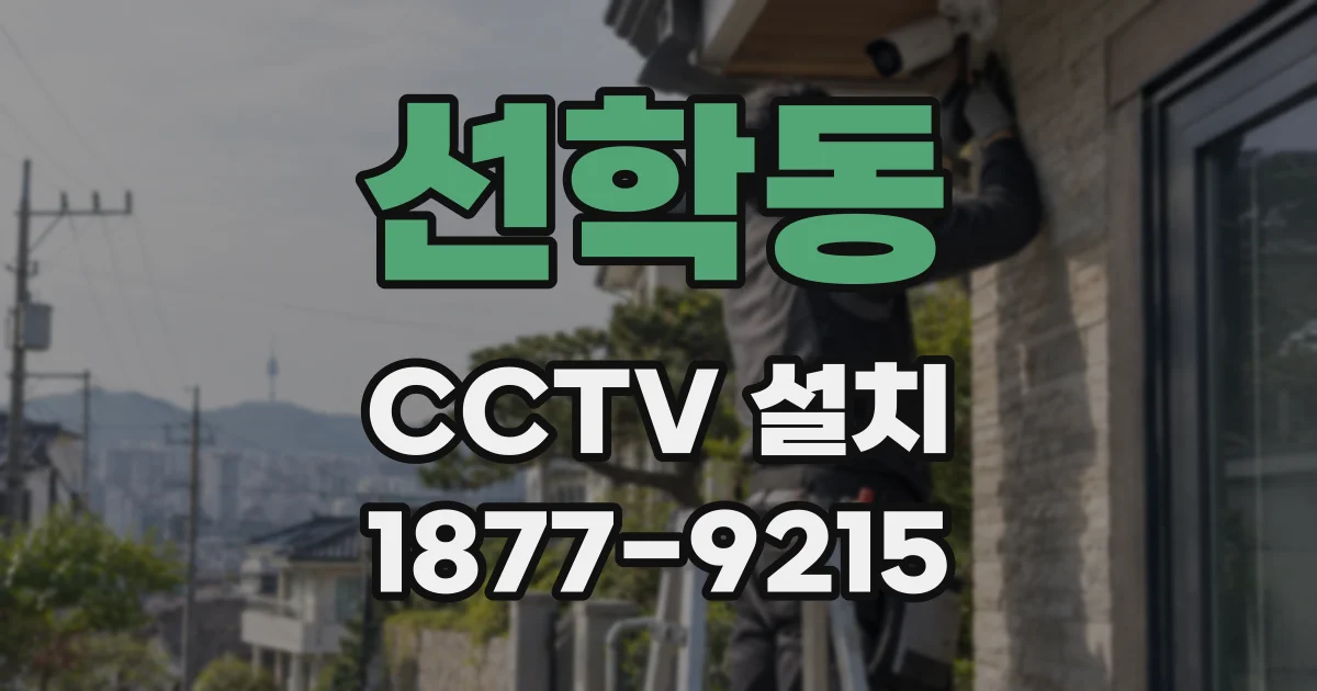 선학동 CCTV 설치