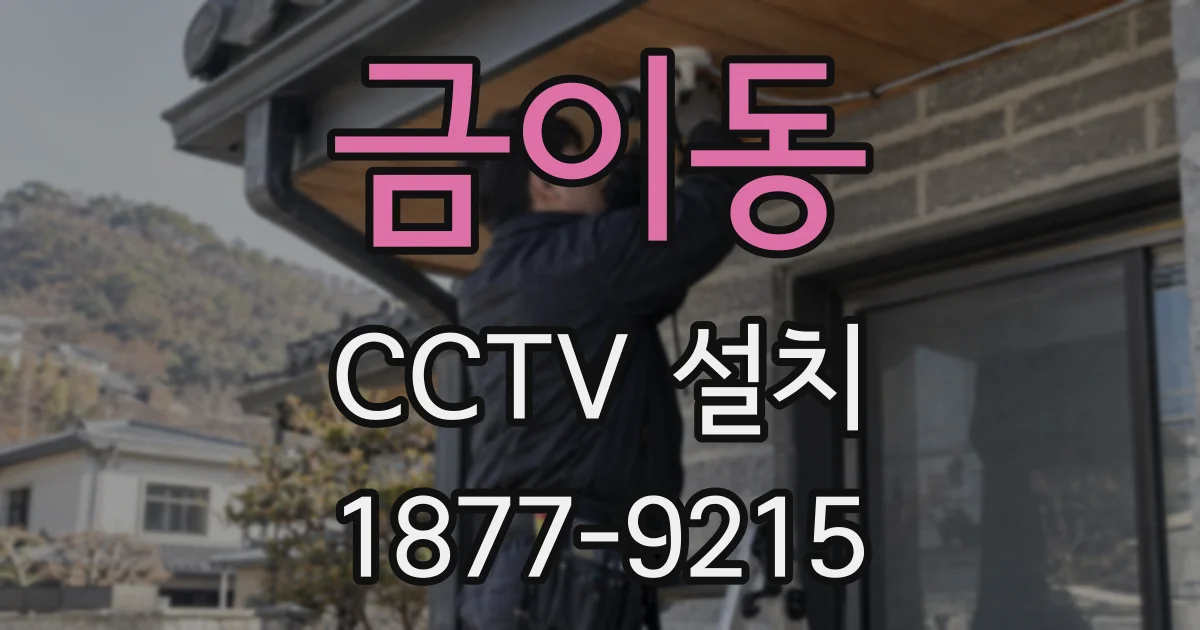 금이동 CCTV 설치