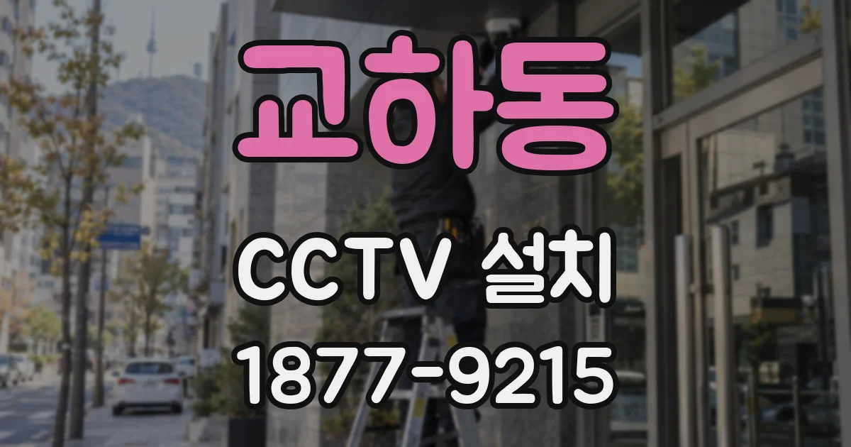 교하동 CCTV 설치