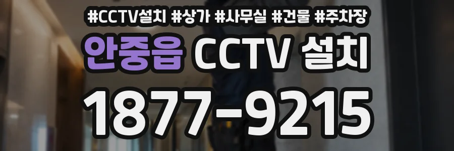 안중읍 CCTV 설치