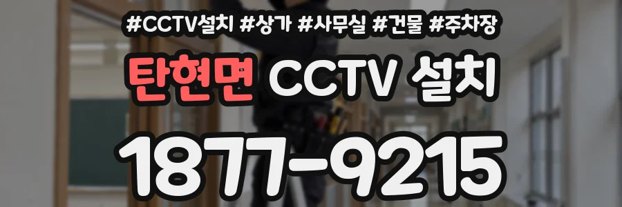 탄현면 CCTV 설치