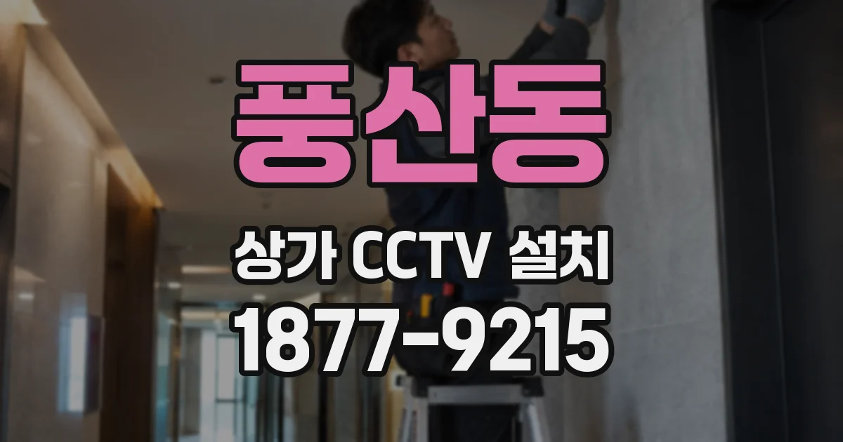 풍산동 상가 CCTV 설치