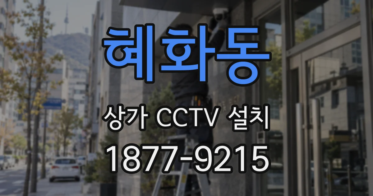 혜화동 상가 CCTV 설치