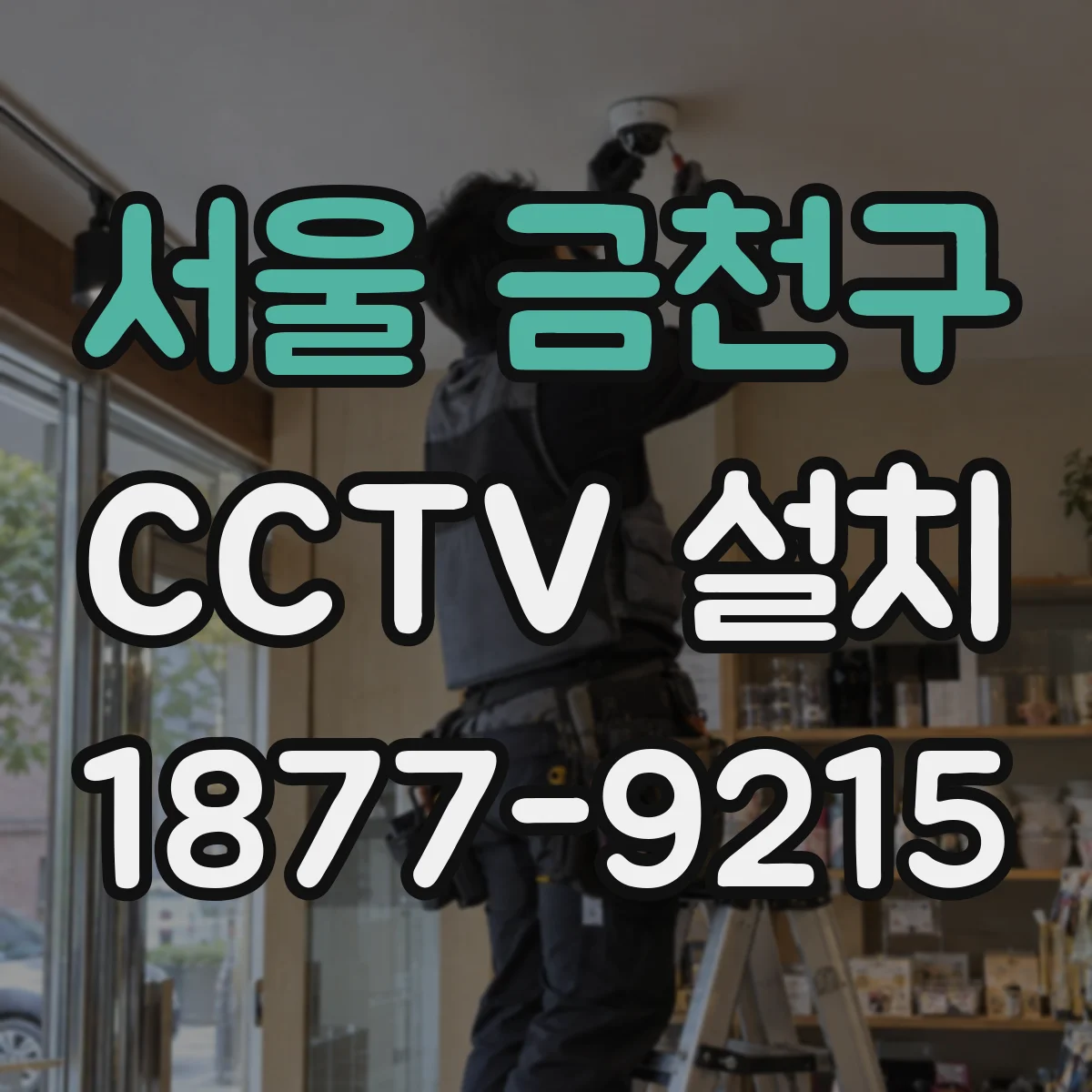 서울 금천구 CCTV 설치
