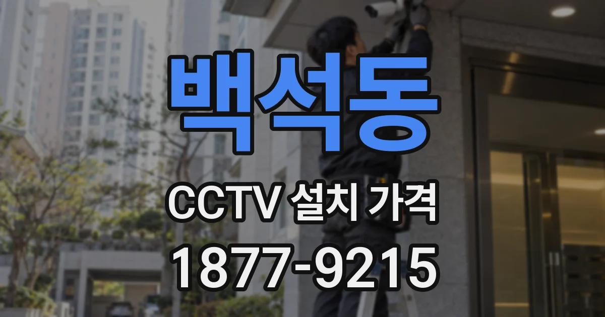 백석동 CCTV 설치 가격
