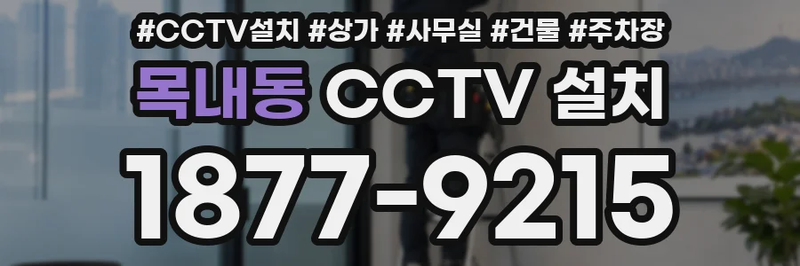 목내동 CCTV 설치