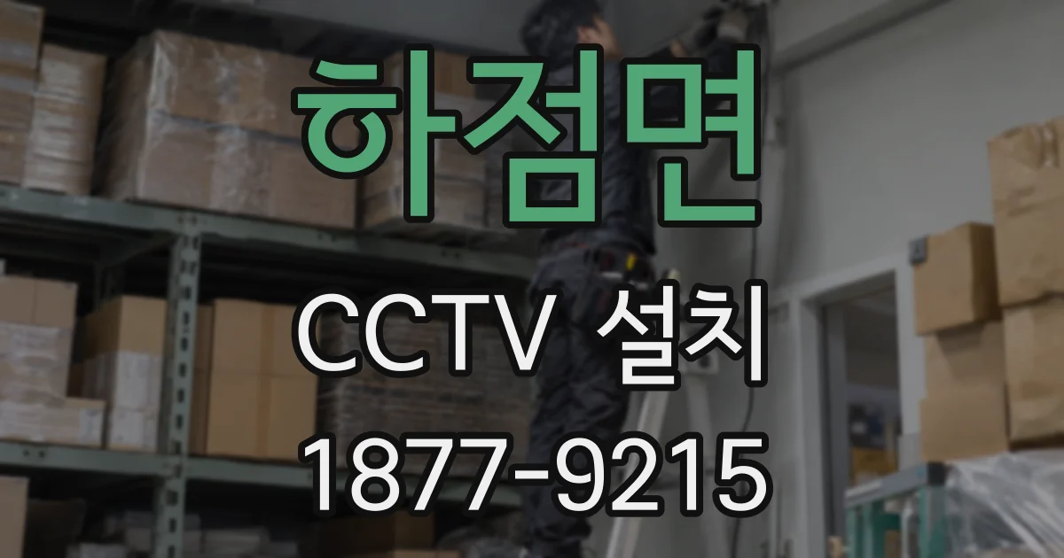 하점면 CCTV 설치