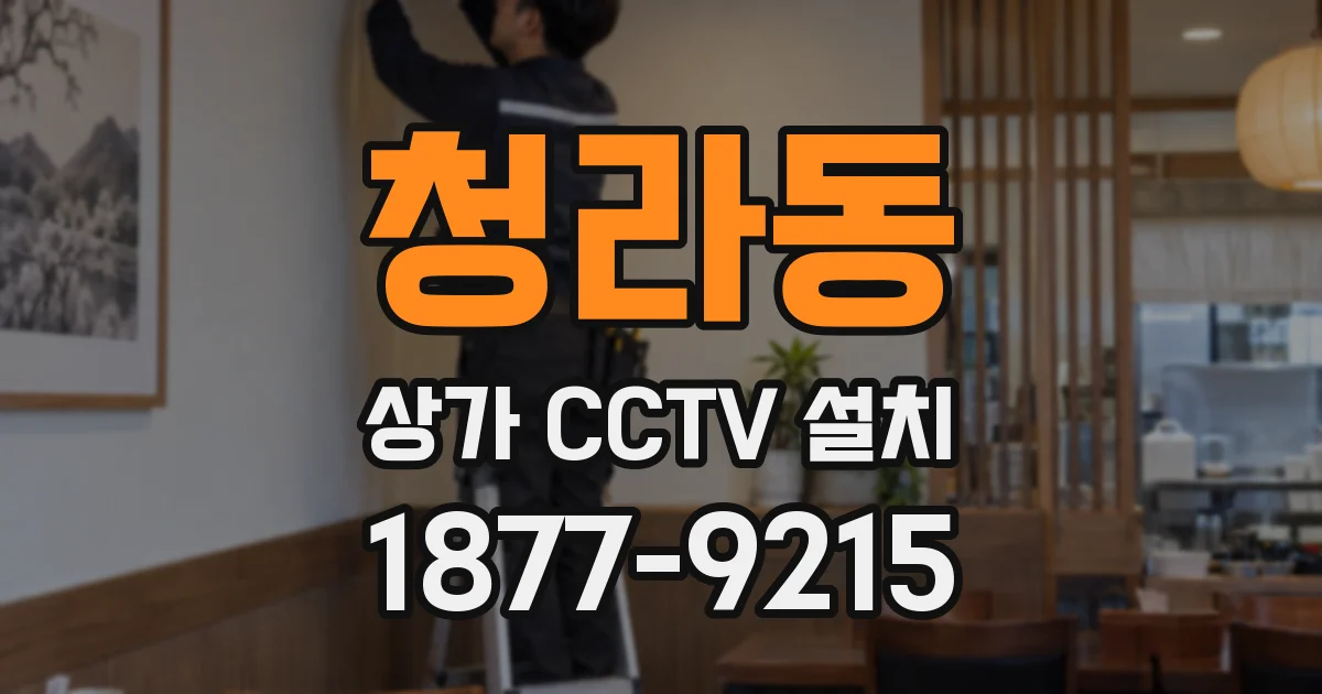 청라동 상가 CCTV 설치
