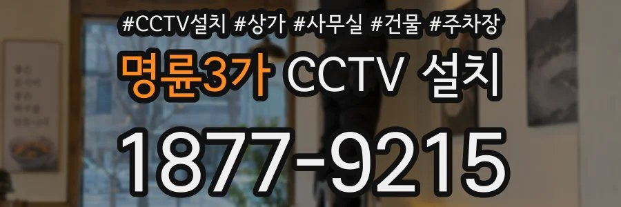 명륜3가 CCTV 설치