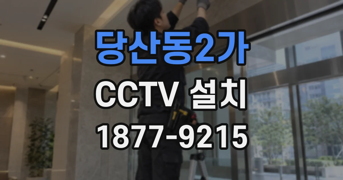 당산동2가 CCTV 설치