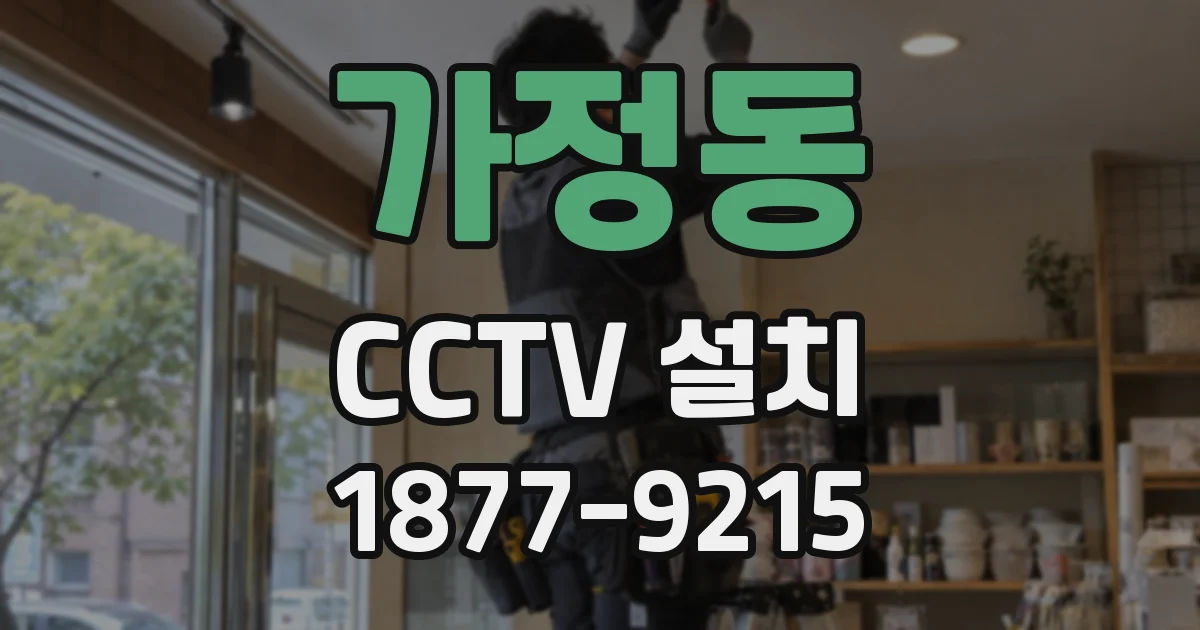 가정동 CCTV 설치