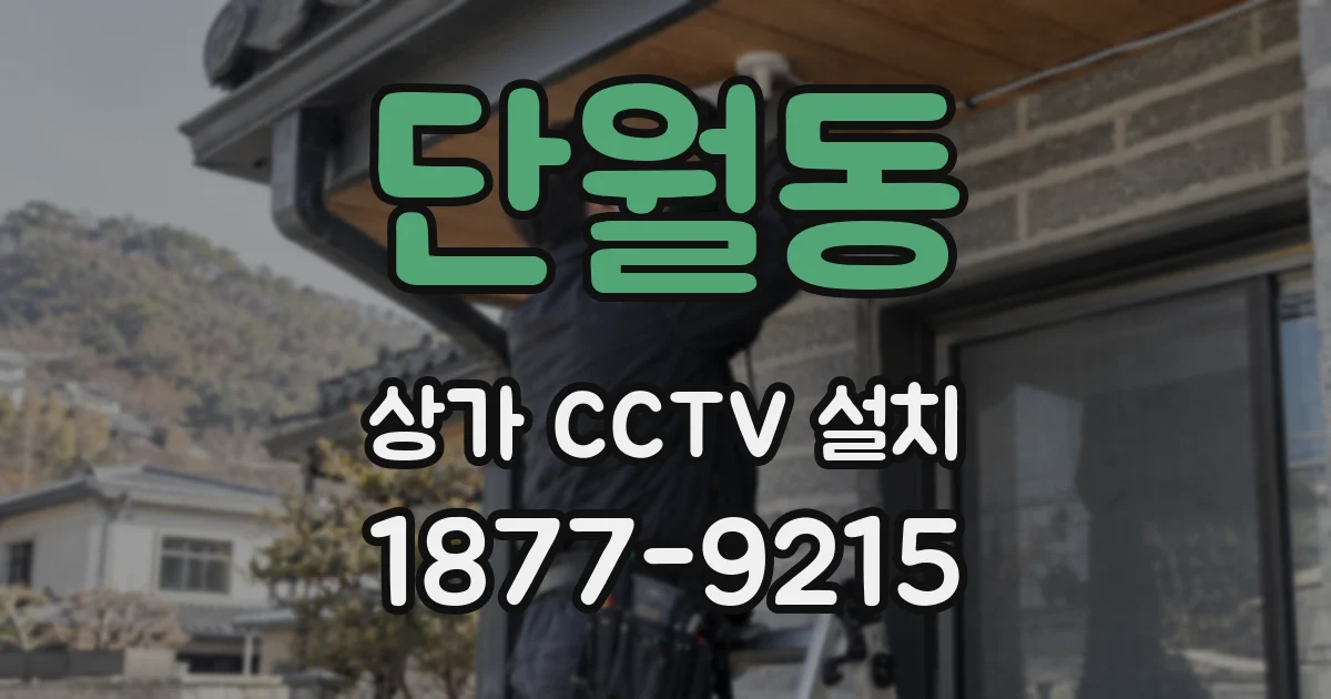 단월동 상가 CCTV 설치