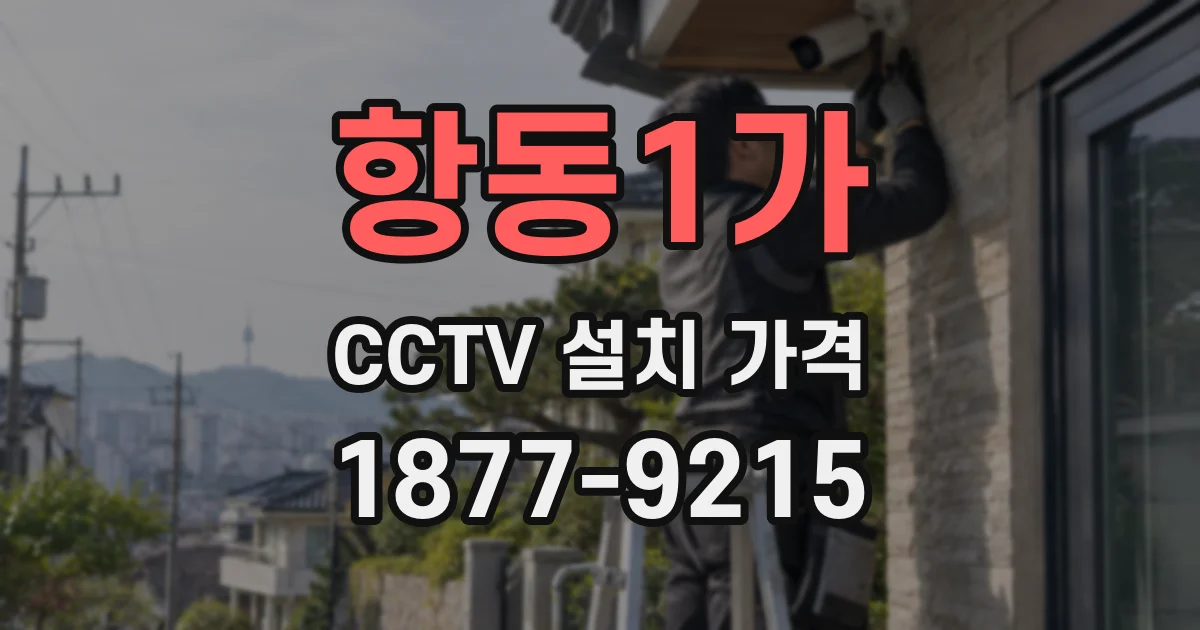 항동1가 CCTV 설치 가격