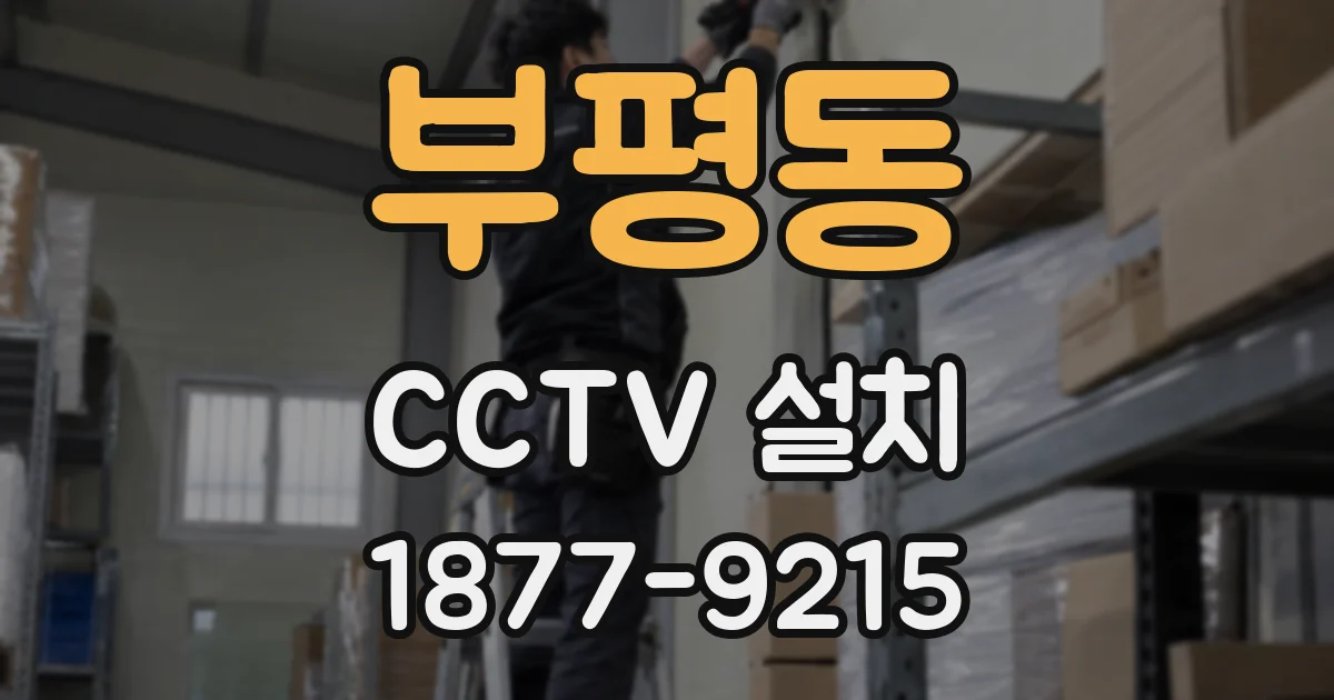 부평동 CCTV 설치