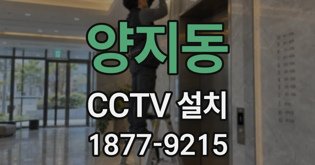 양지동 CCTV 설치