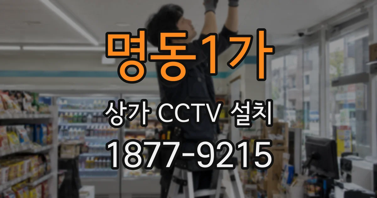 명동1가 상가 CCTV 설치