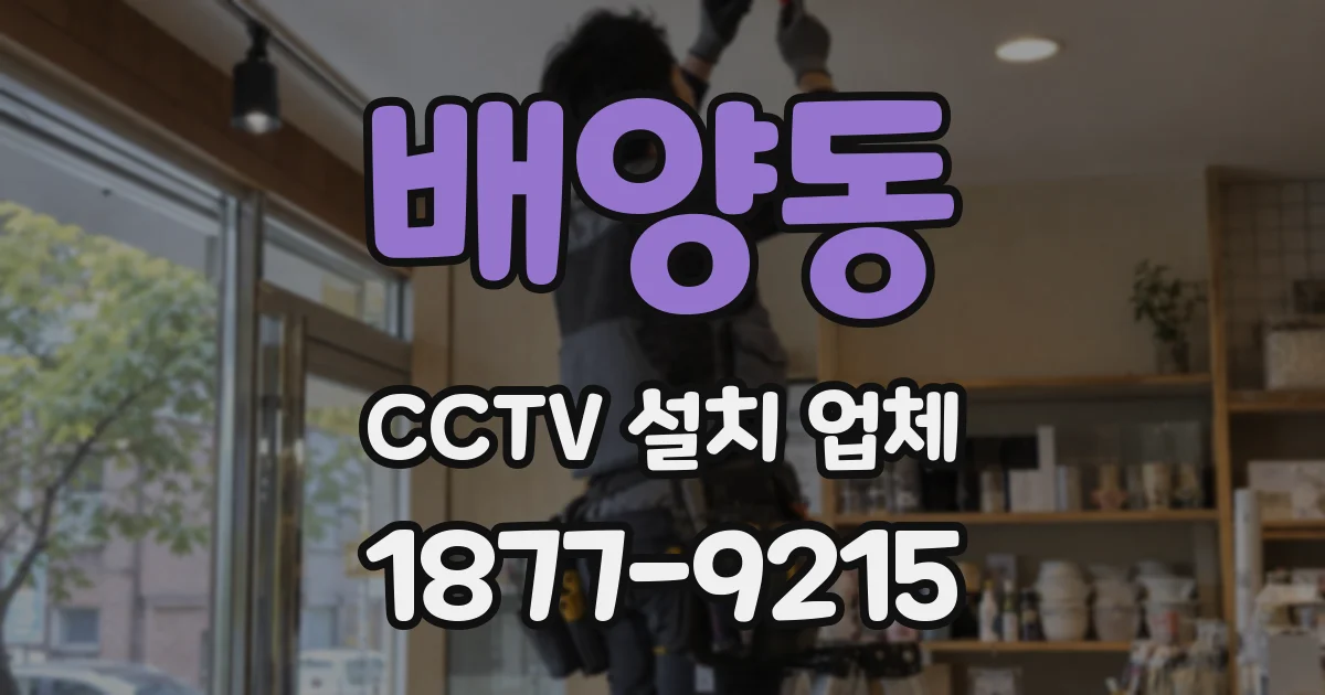 배양동 CCTV 설치 업체