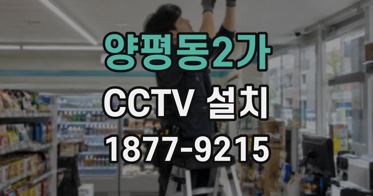 양평동2가 CCTV 설치