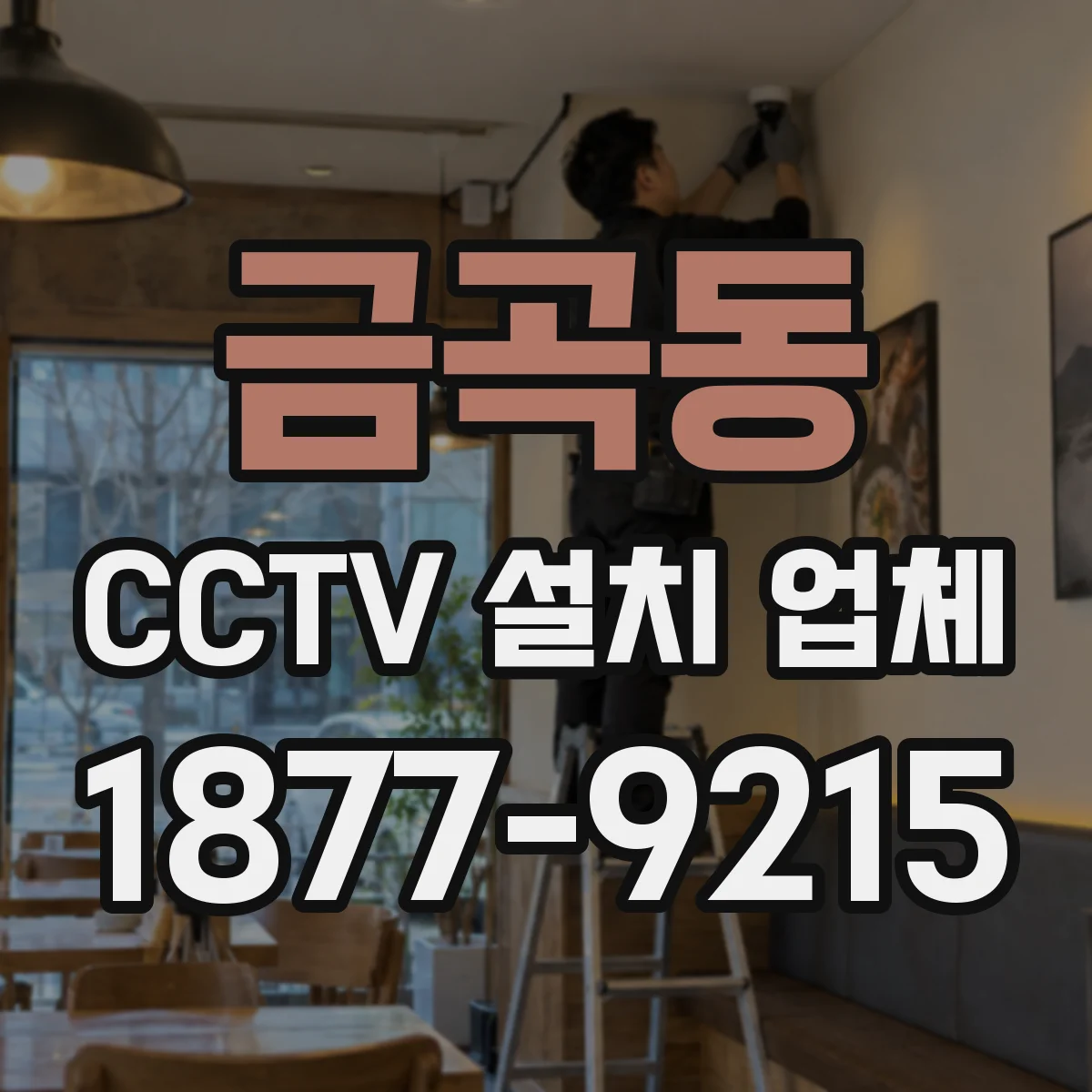 금곡동 CCTV 설치 업체