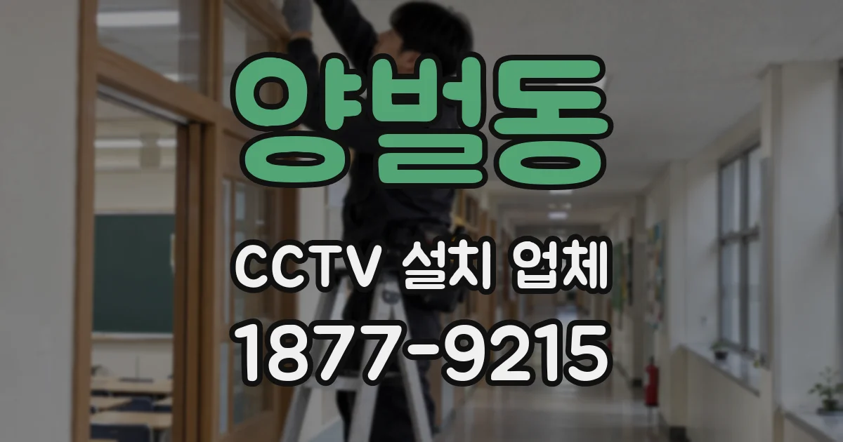 양벌동 CCTV 설치 업체