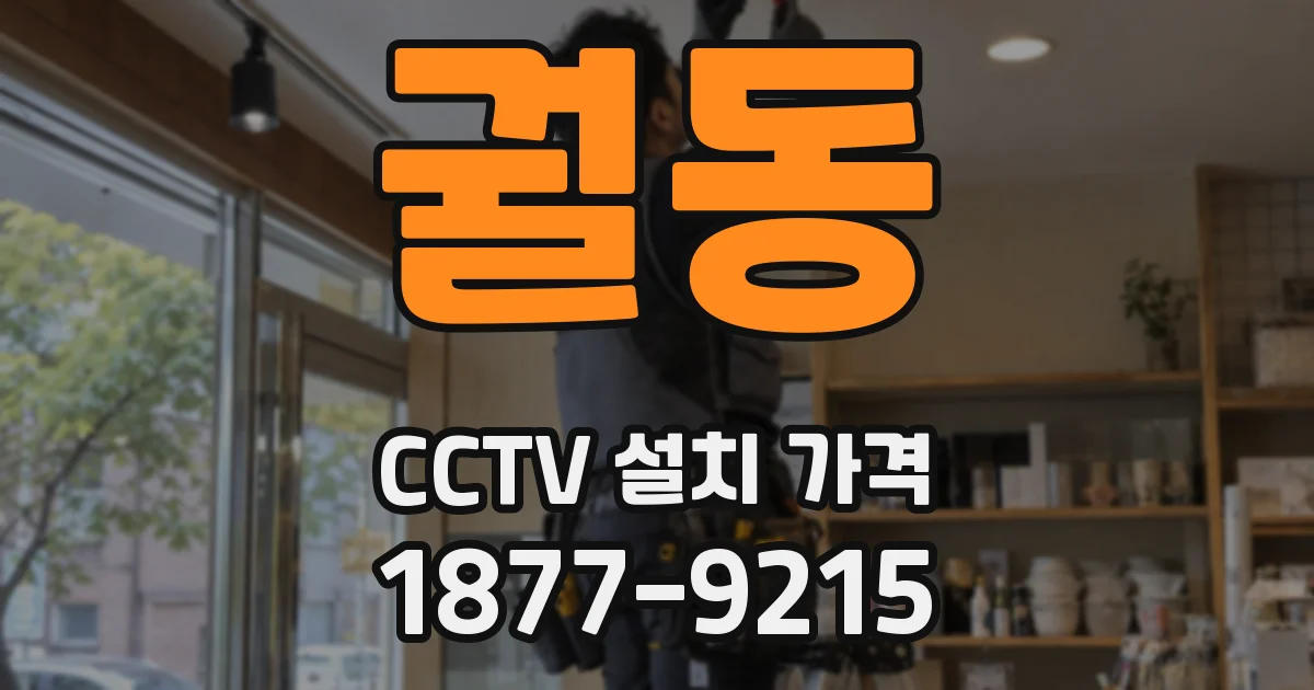 궐동 CCTV 설치 가격