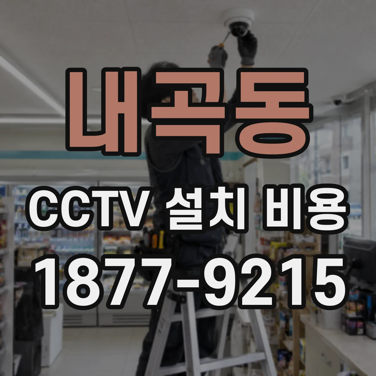 내곡동 CCTV 설치 비용