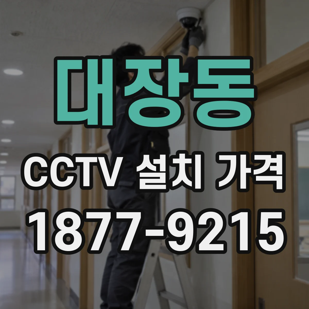 대장동 CCTV 설치 가격
