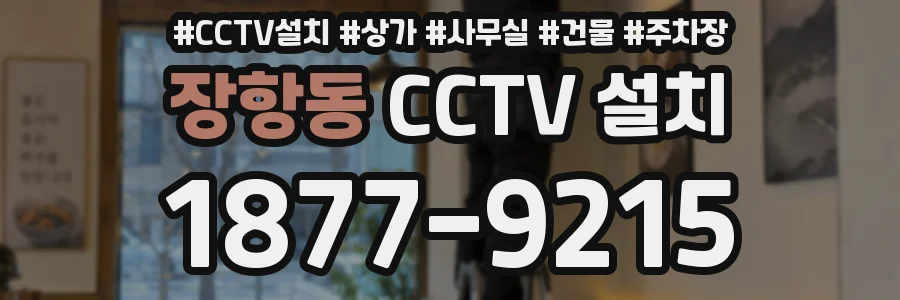 장항동 CCTV 설치
