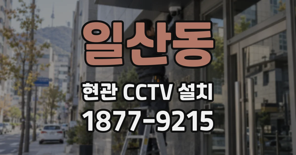 일산동 현관 CCTV 설치