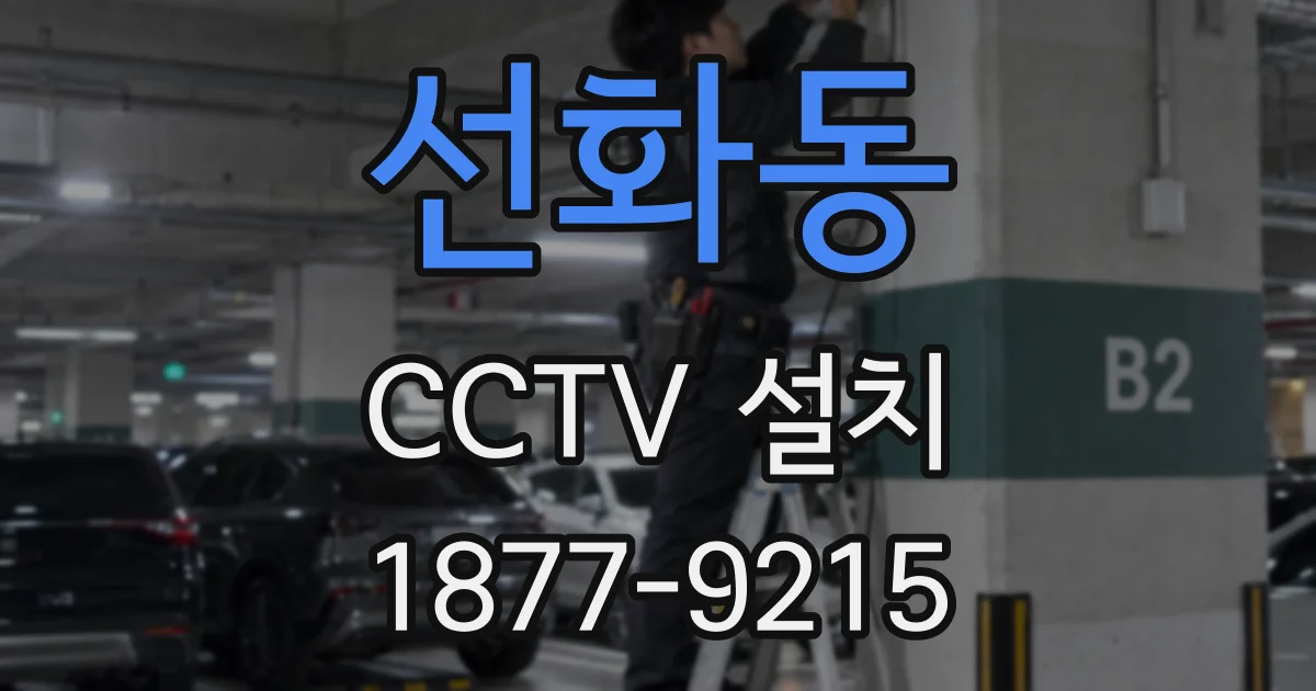 선화동 CCTV 설치