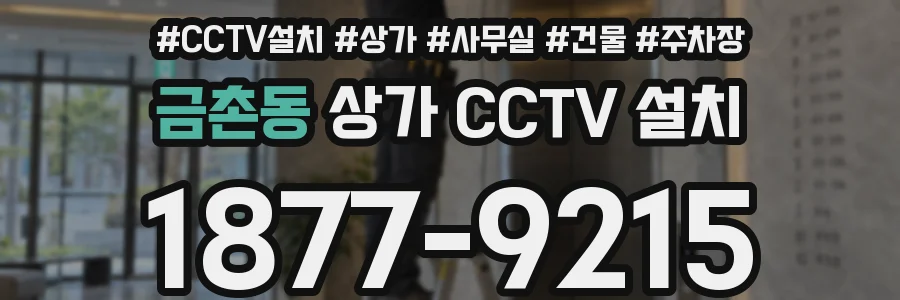 금촌동 상가 CCTV 설치