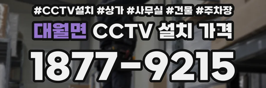대월면 CCTV 설치 가격